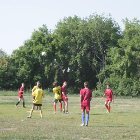 О проведении открытого первенства Тельминского МО по мини-футболу среди юношей